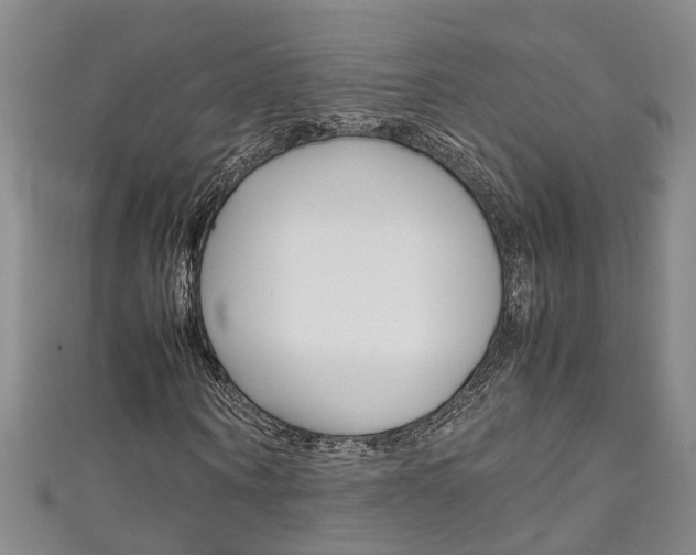 X0000111210866200907011049
