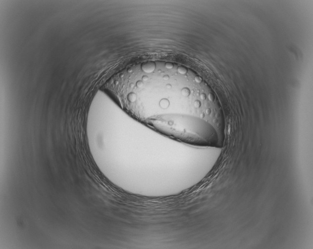 X0000111210867200907011049