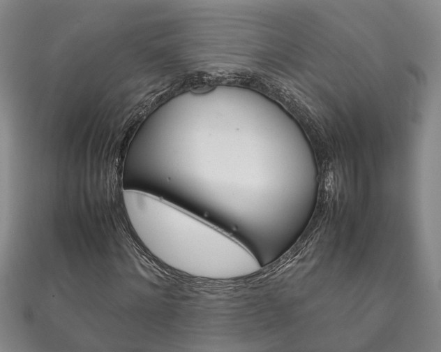 X0000111210868200907011049