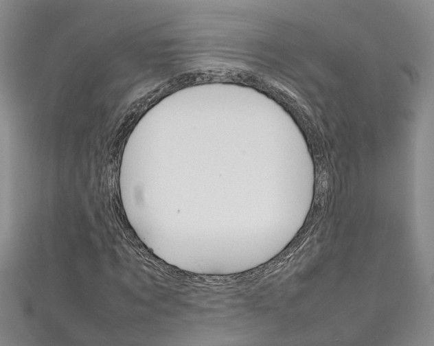 X0000111210869200907011049
