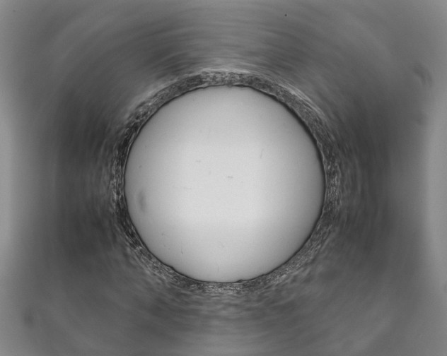 X0000111210870200907011049