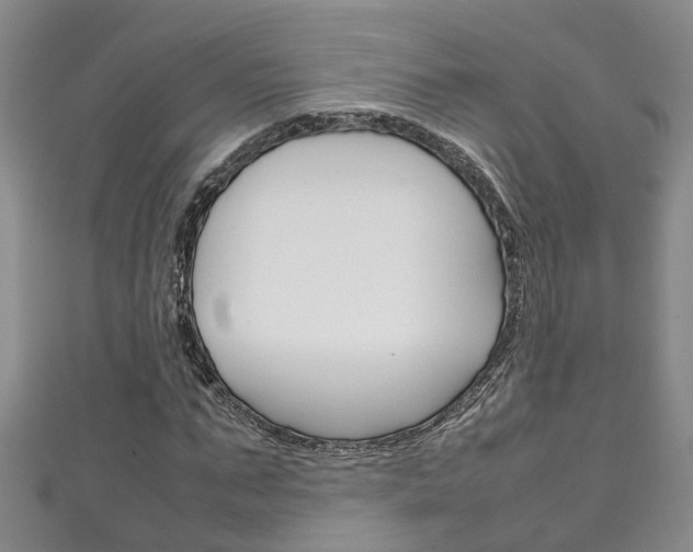 X0000111210871200907011049