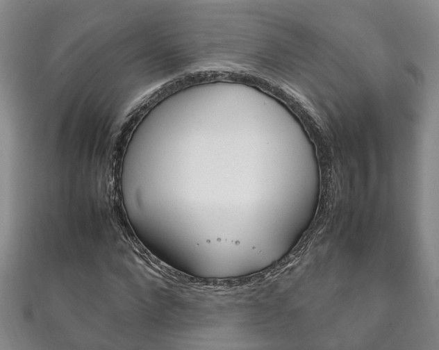 X0000111210872200907011049