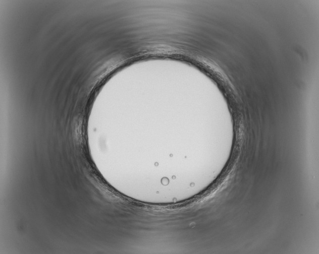 X0000111210873200907011049