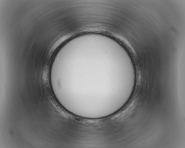 X0000111210874200907011049