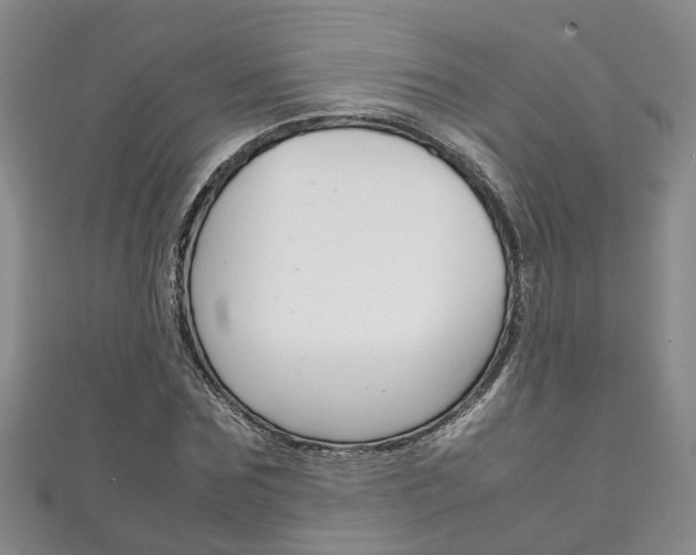 X0000111210875200907011049