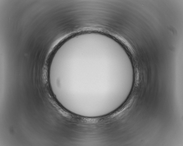 X0000111210878200907011049