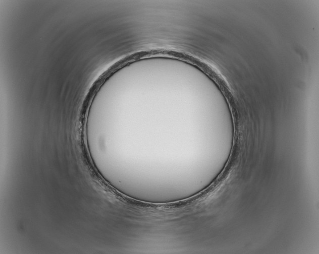 X0000111210879200907011049