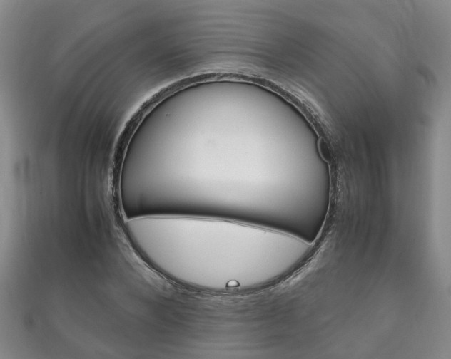 X0000111210880200907011049