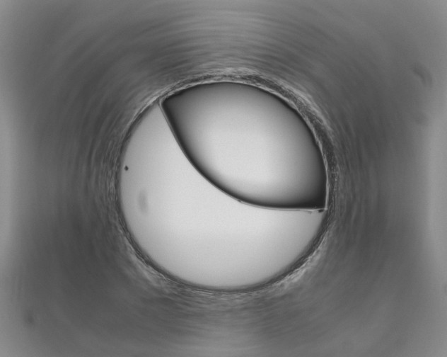 X0000111210881200907011049