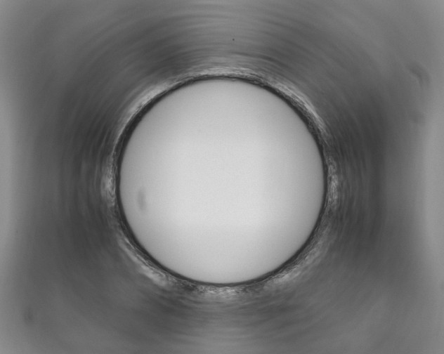 X0000111210882200907011049