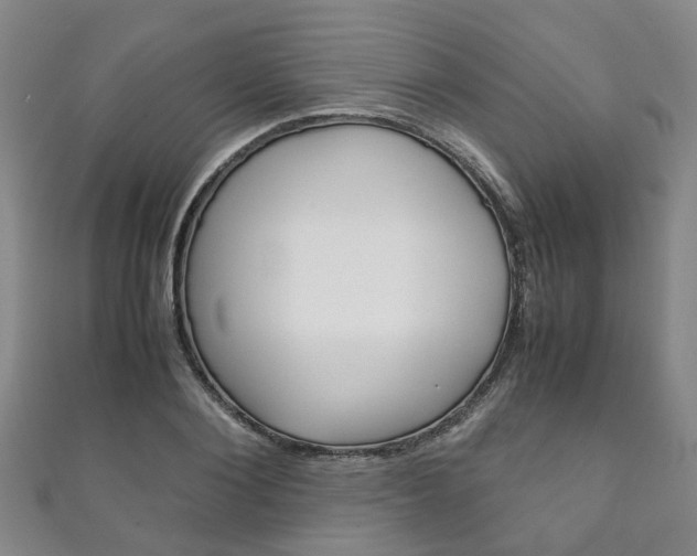 X0000111210884200907011049