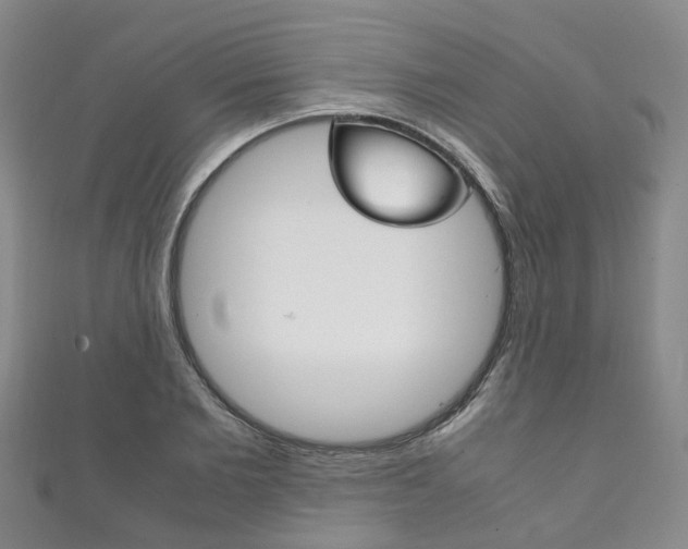 X0000111210885200907011049