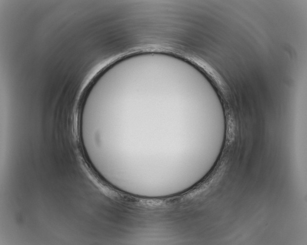 X0000111210886200907011049