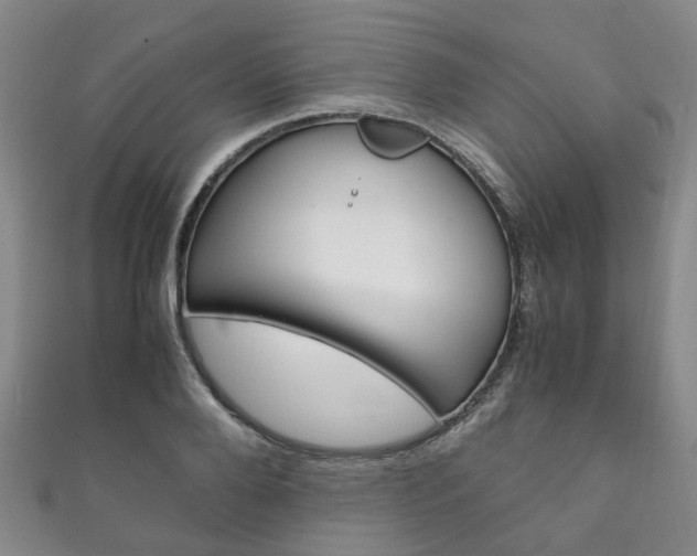 X0000111210888200907011049