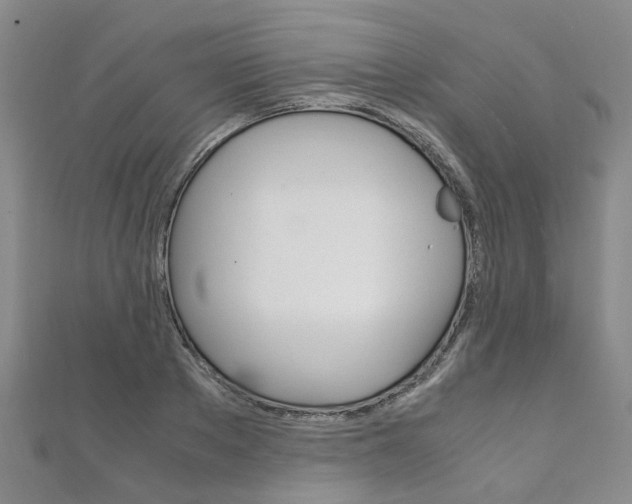 X0000111210889200907011048