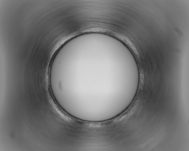 X0000111210890200907011048