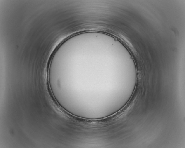 X0000111210891200907011048