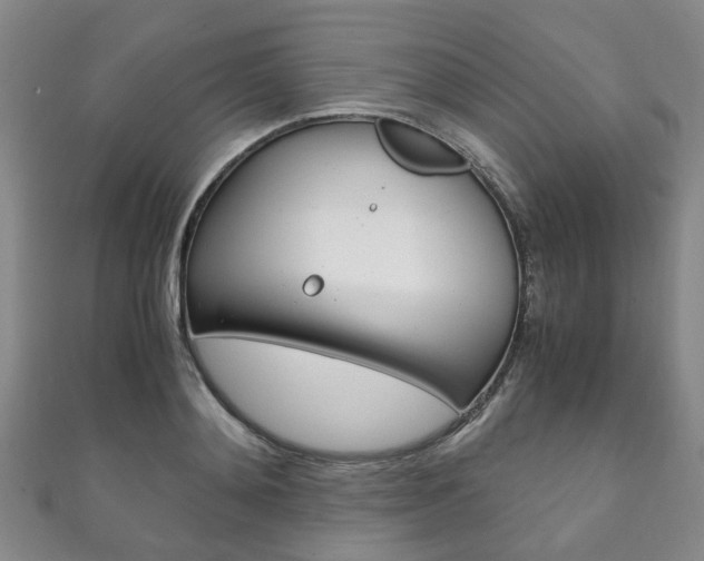 X0000111210892200907011048