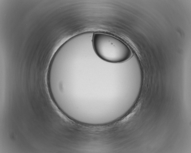 X0000111210893200907011048