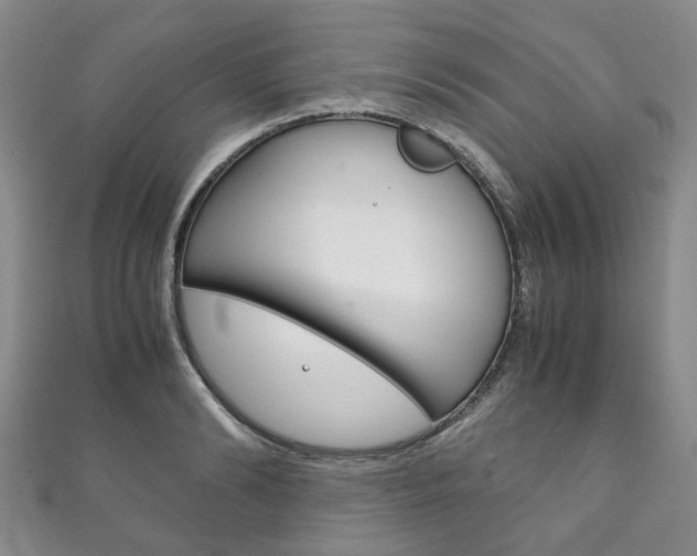 X0000111210894200907011048
