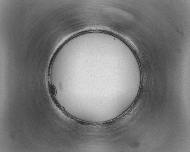 X0000111210895200907011048