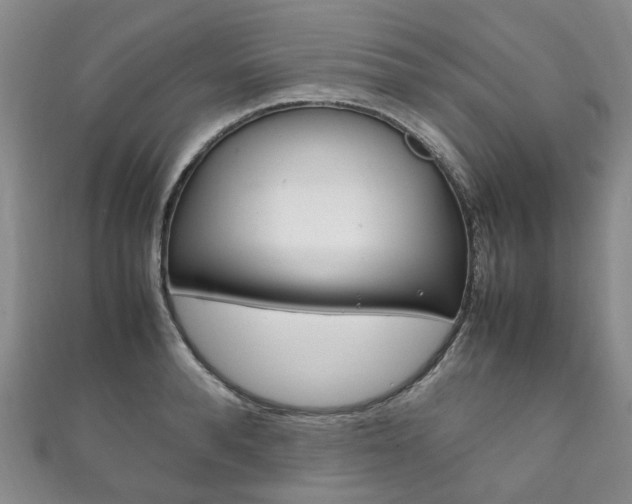 X0000111210896200907011048