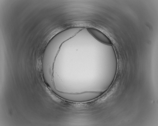 X0000111210897200907011048