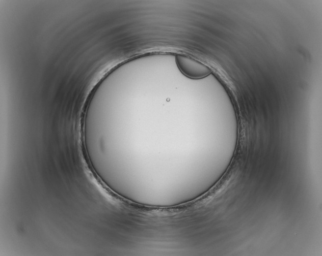 X0000111210898200907011048