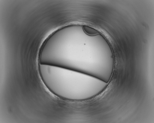 X0000111210902200907011048