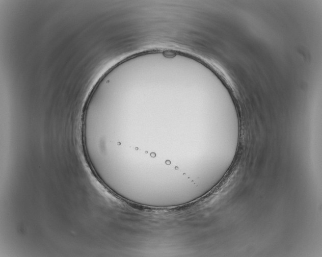 X0000111210903200907011048