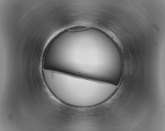 X0000111210904200907011048