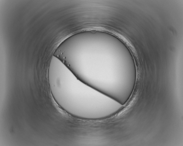 X0000111210905200907011048