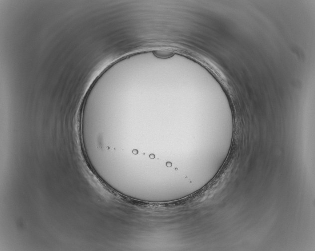 X0000111210907200907011048