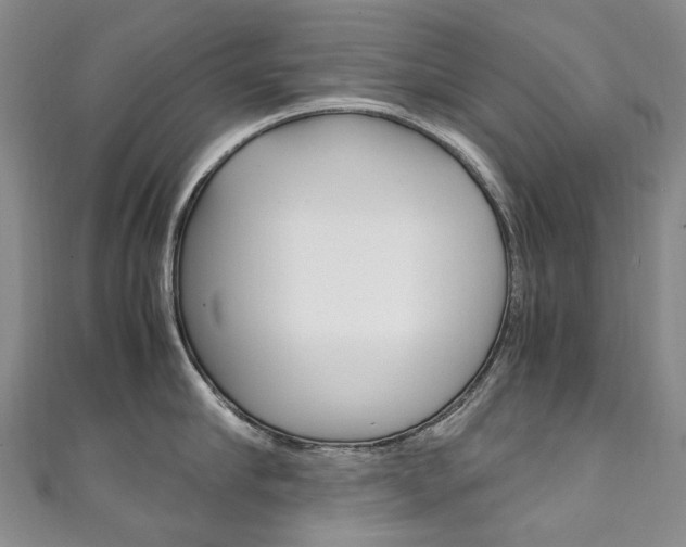 X0000111210910200907011048