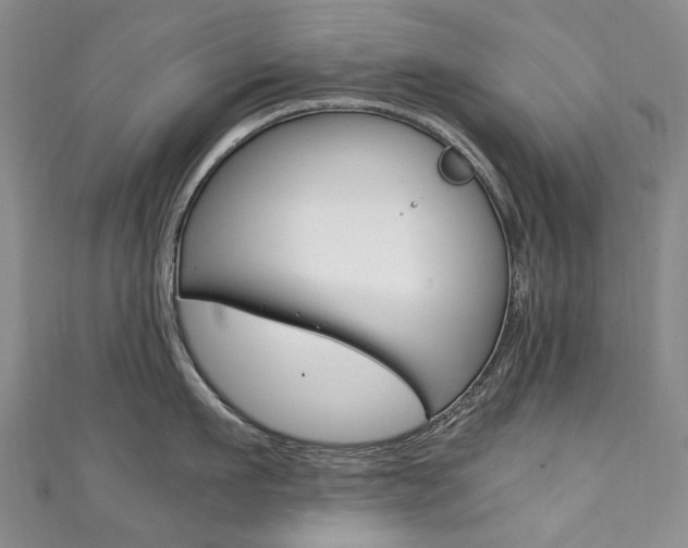 X0000111210911200907011048