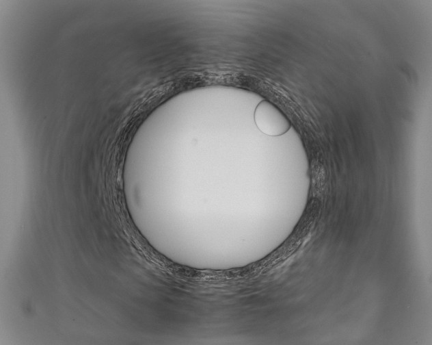 X0000111210913200907011048