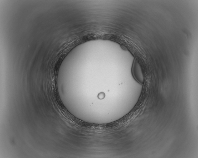 X0000111210914200907011048