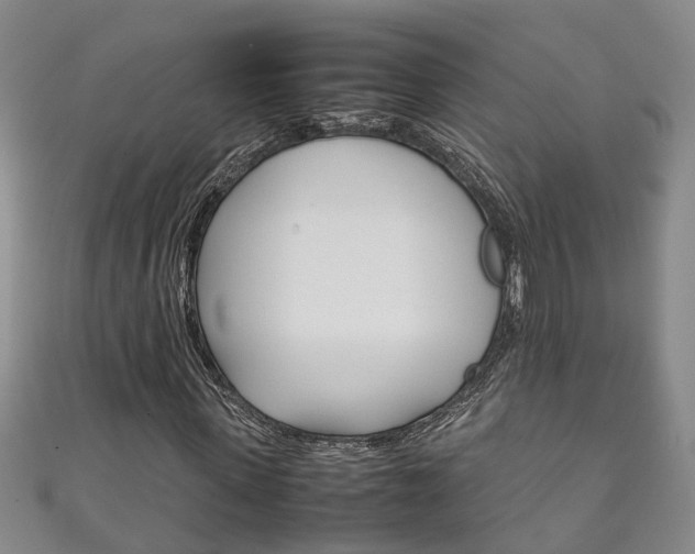 X0000111210915200907011048