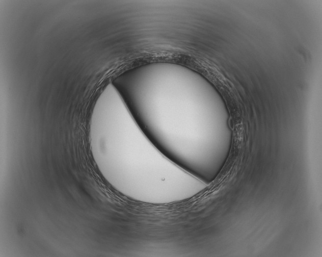 X0000111210916200907011048