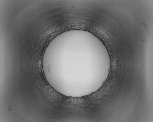 X0000111210917200907011048
