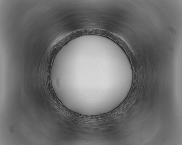 X0000111210919200907011048