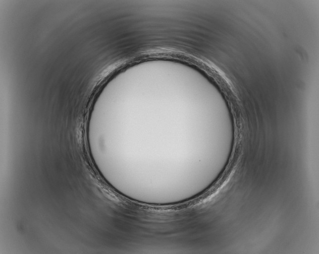 X0000111210921200907011048