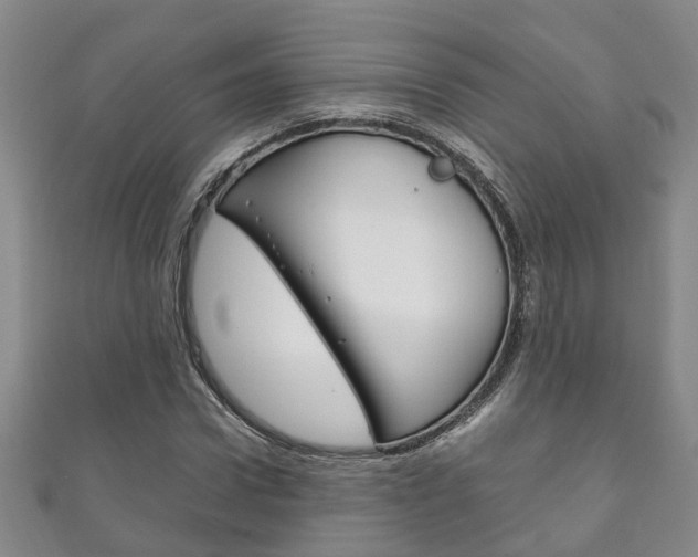 X0000111210922200907011048