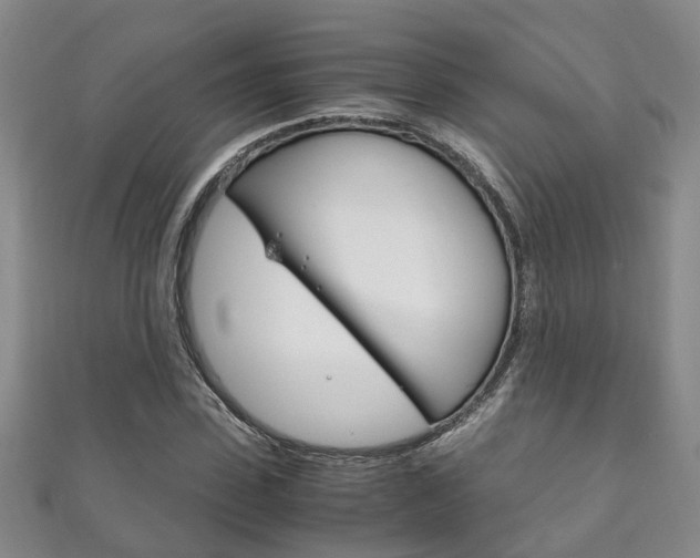 X0000111210923200907011048