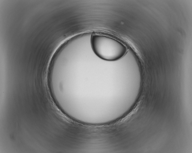 X0000111210924200907011048