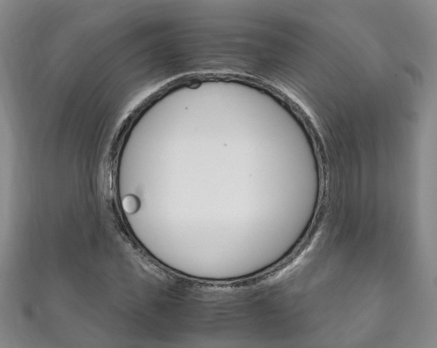 X0000111210925200907011048