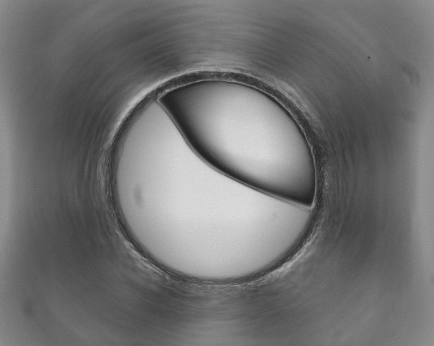 X0000111210926200907011048