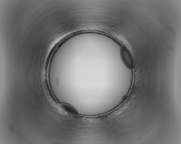 X0000111210928200907011048