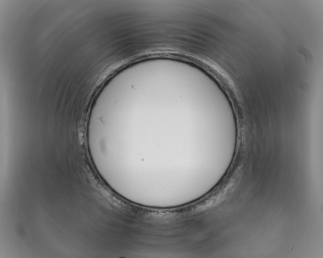 X0000111210929200907011048